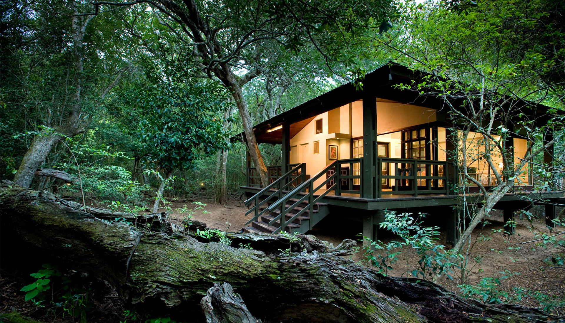 Phinda Forest Lodge thumbnail 5